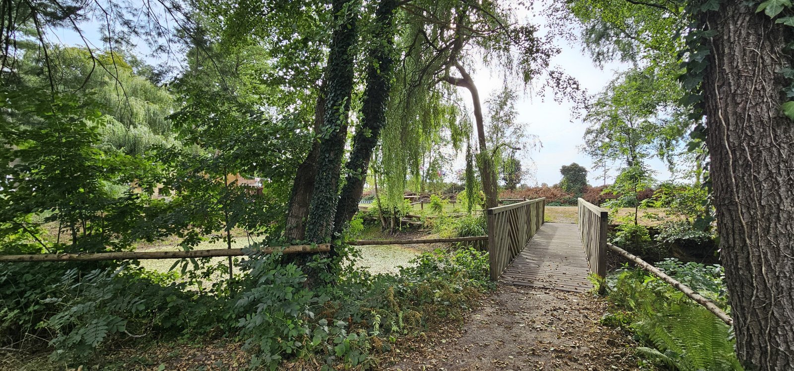 Europa-Makler: Einmalige Gelegenheit der ungeschliffene Diamant in der Grafschaft Bentheim,Campingplatz und Gastronomie