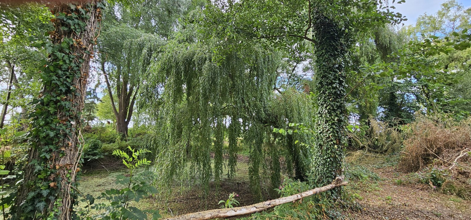 Europa-Makler: Einmalige Gelegenheit der ungeschliffene Diamant in der Grafschaft Bentheim,Campingplatz und Gastronomie