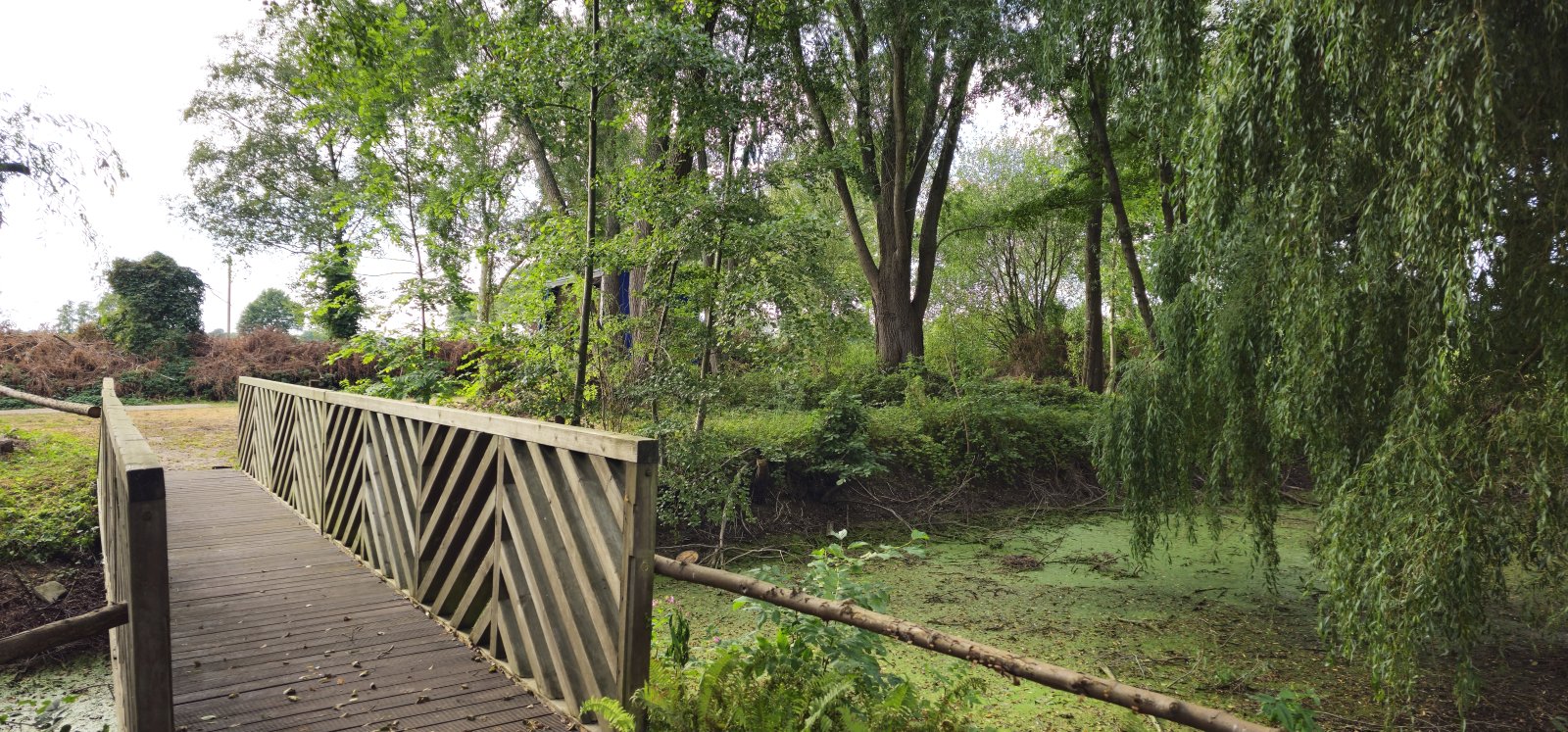 Europa-Makler: Einmalige Gelegenheit der ungeschliffene Diamant in der Grafschaft Bentheim,Campingplatz und Gastronomie