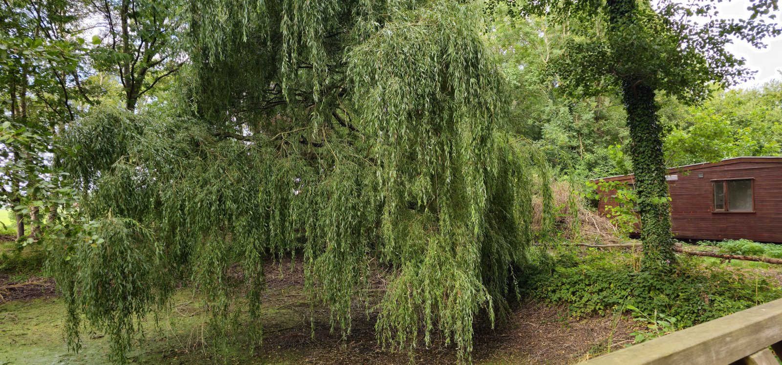 Europa-Makler: Einmalige Gelegenheit der ungeschliffene Diamant in der Grafschaft Bentheim,Campingplatz und Gastronomie